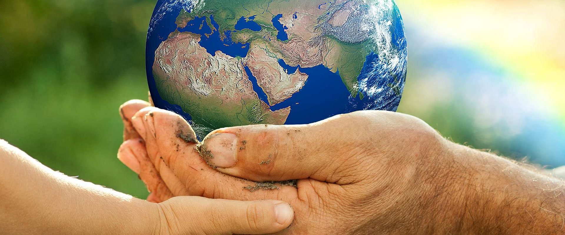 Çevre Danışmanlık Hizmetleri